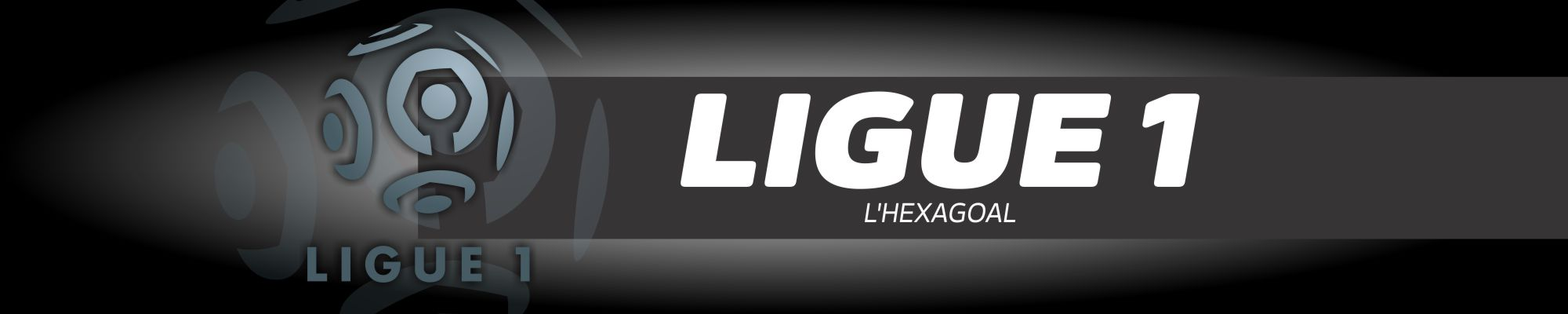 France Ligue 1