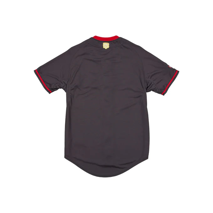 New Era Diablos Rojos del México LMB 100th Anniversary Gray Alt Jersey