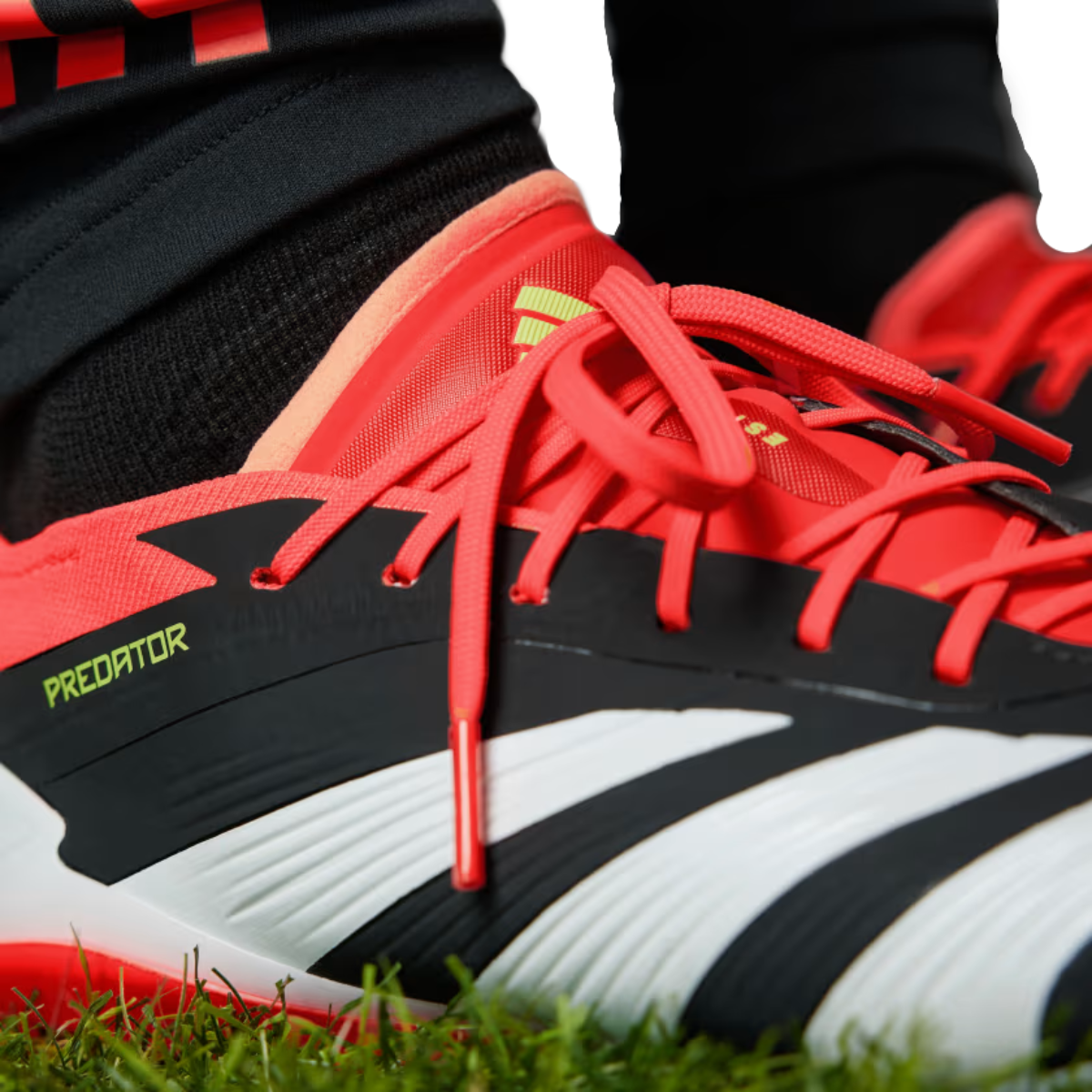 Adidas Predator Low Elite FG-