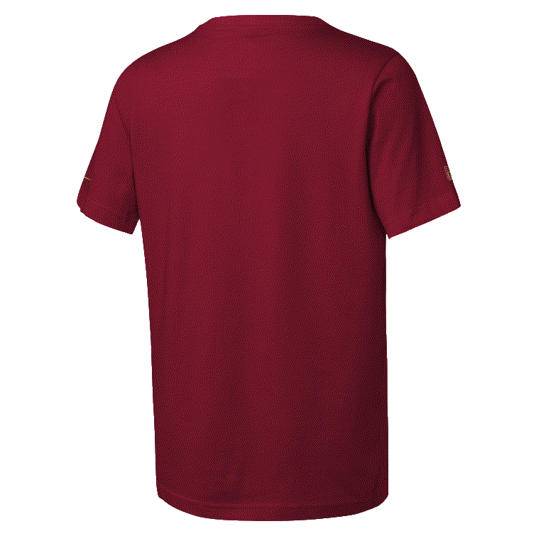 Youth San Francisco 49ers TM Issue T-Shirt - Red