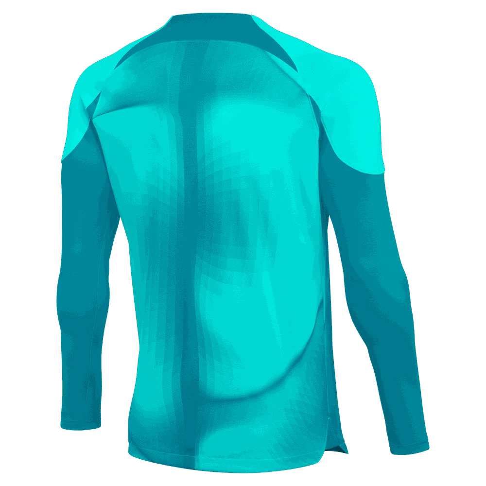 Nike Gardien IV LS Goalkeeper Jersey-HYPER TURQ/AQUAMARINE/BLACK