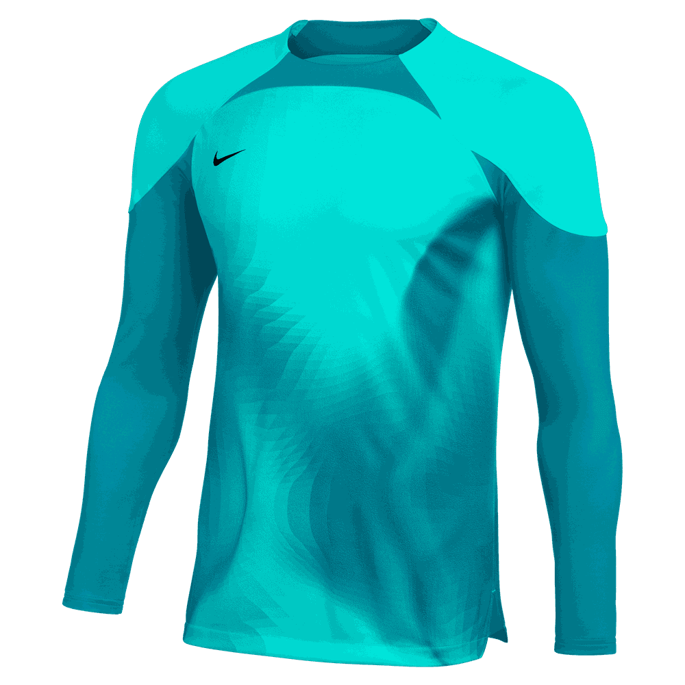 Nike Gardien IV LS Goalkeeper Jersey-HYPER TURQ/AQUAMARINE/BLACK