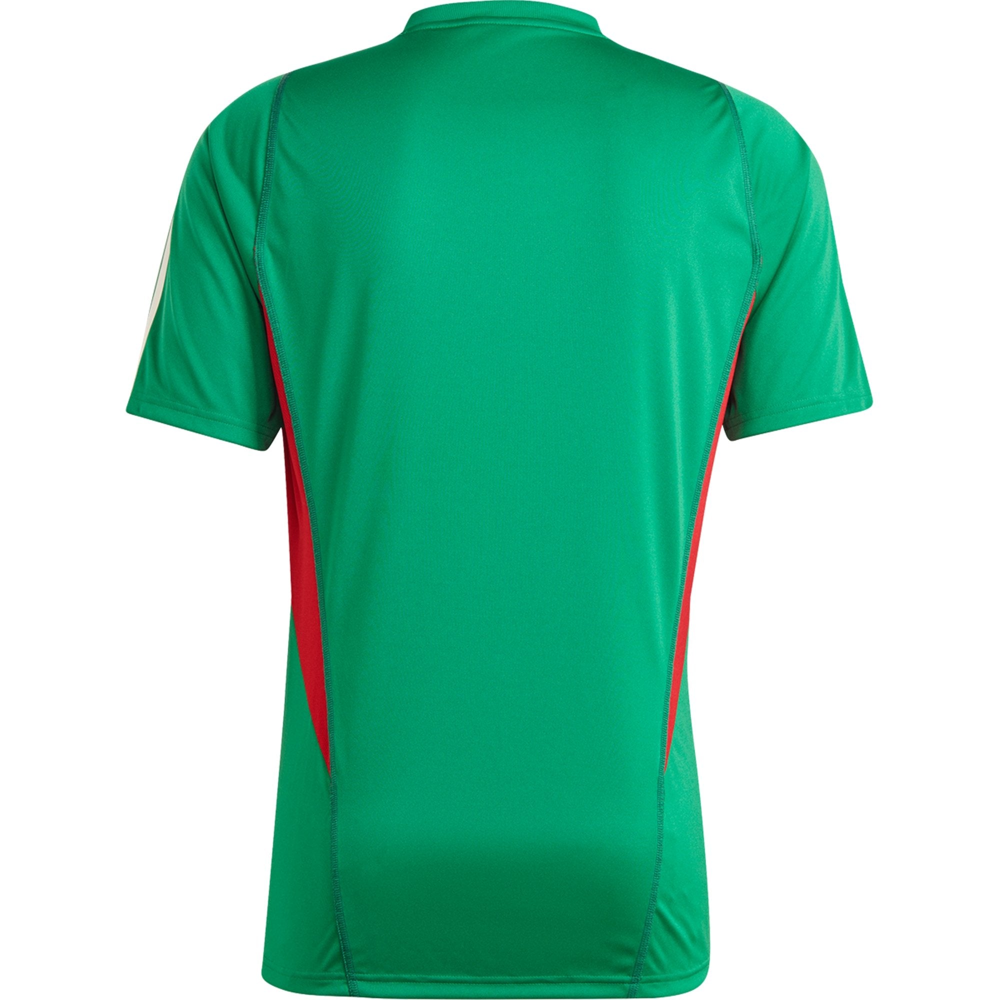 Adidas Mexico Training Jersey 2022