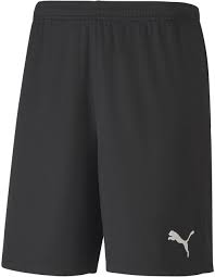 PUMA TEAMGOAL 23 KNIT SHORTS-BLACK