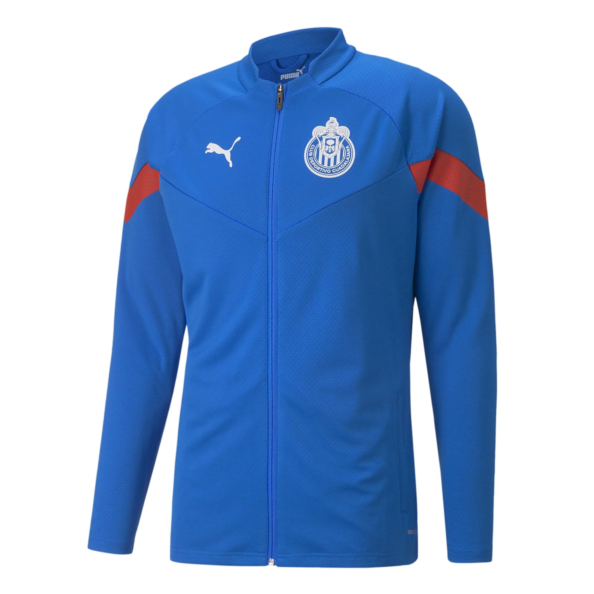 Puma chivas stadium jacket sales