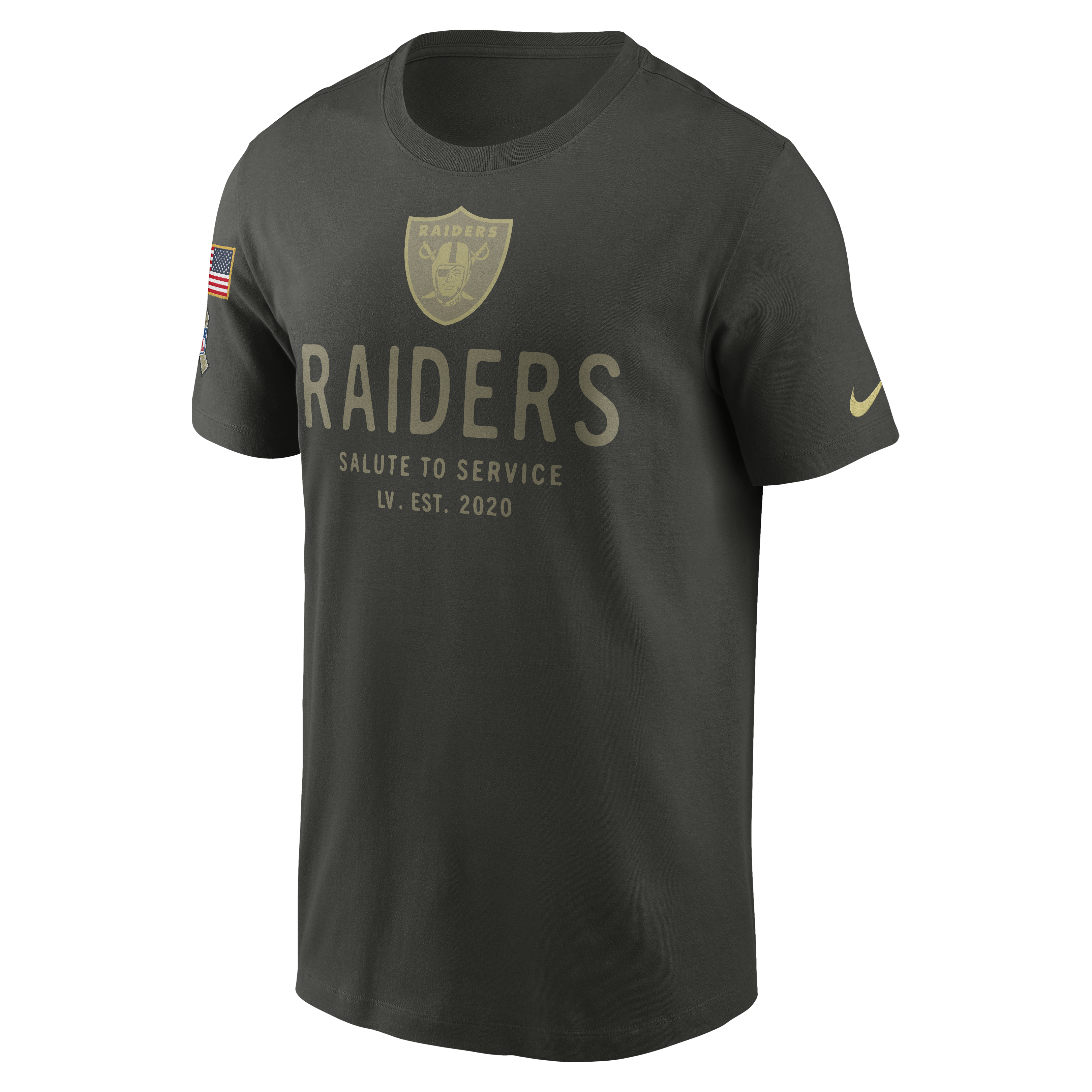 Men's Las Vegas Raiders Nike 2025 Salute to Service Sideline Primary Edge Dri-FIT T-Shirt