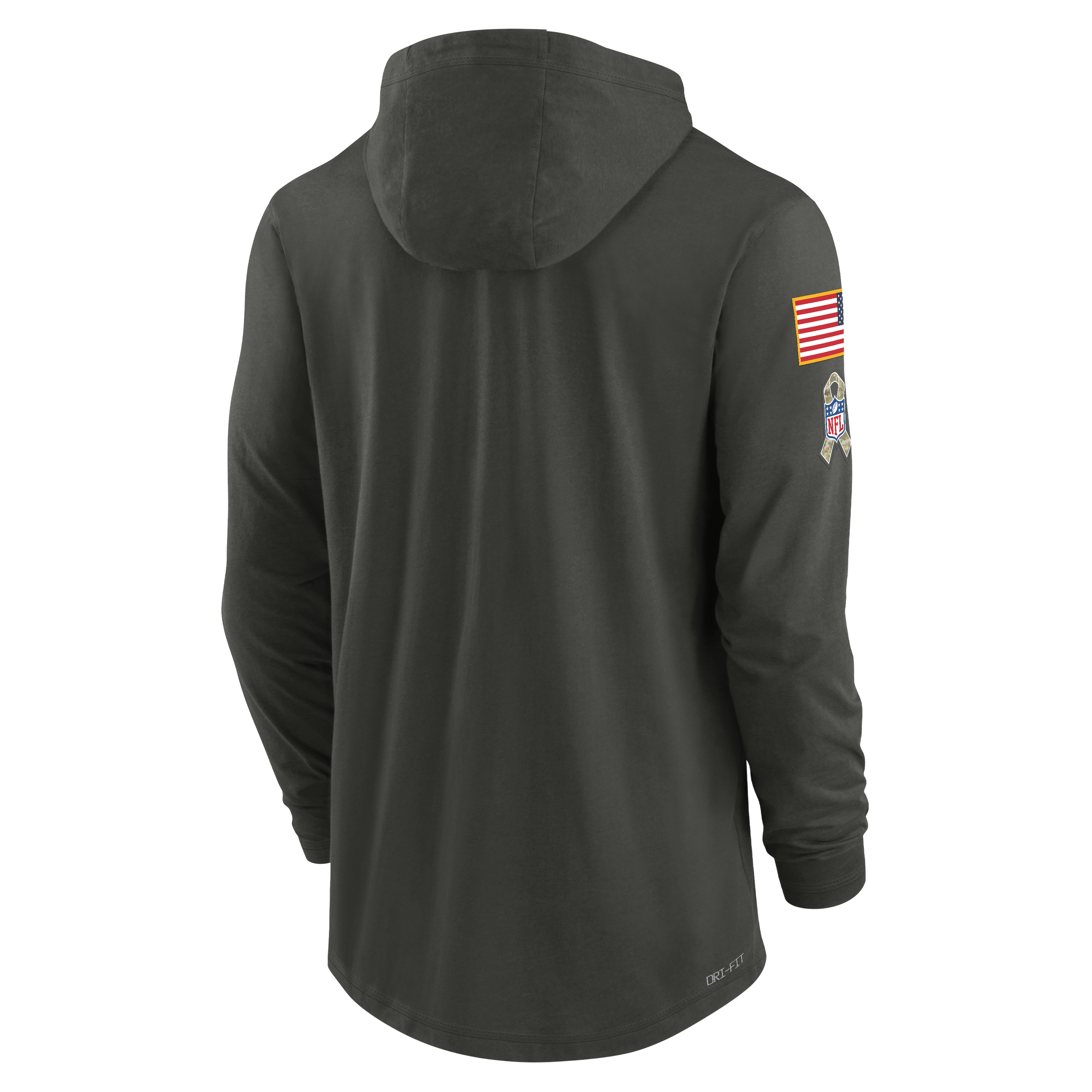 Men's San Francisco 49ers Nike Forest Green 2025 Salute to Service Sideline Dri-FIT Lightweight Hooded Pullover