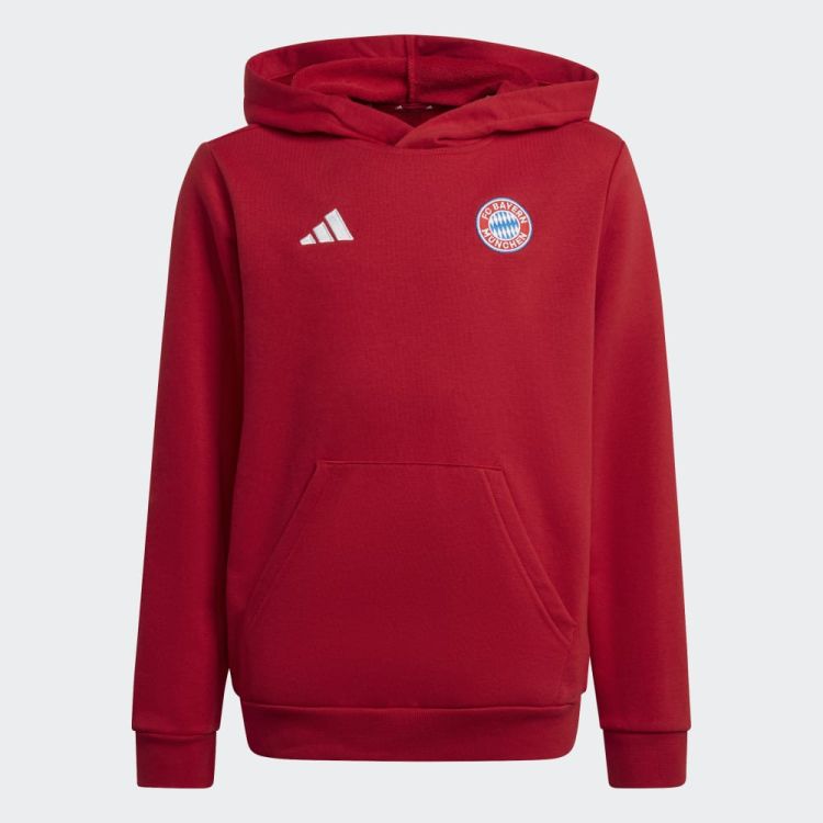 Adidas Youth FC Bayern Crest Hoodie