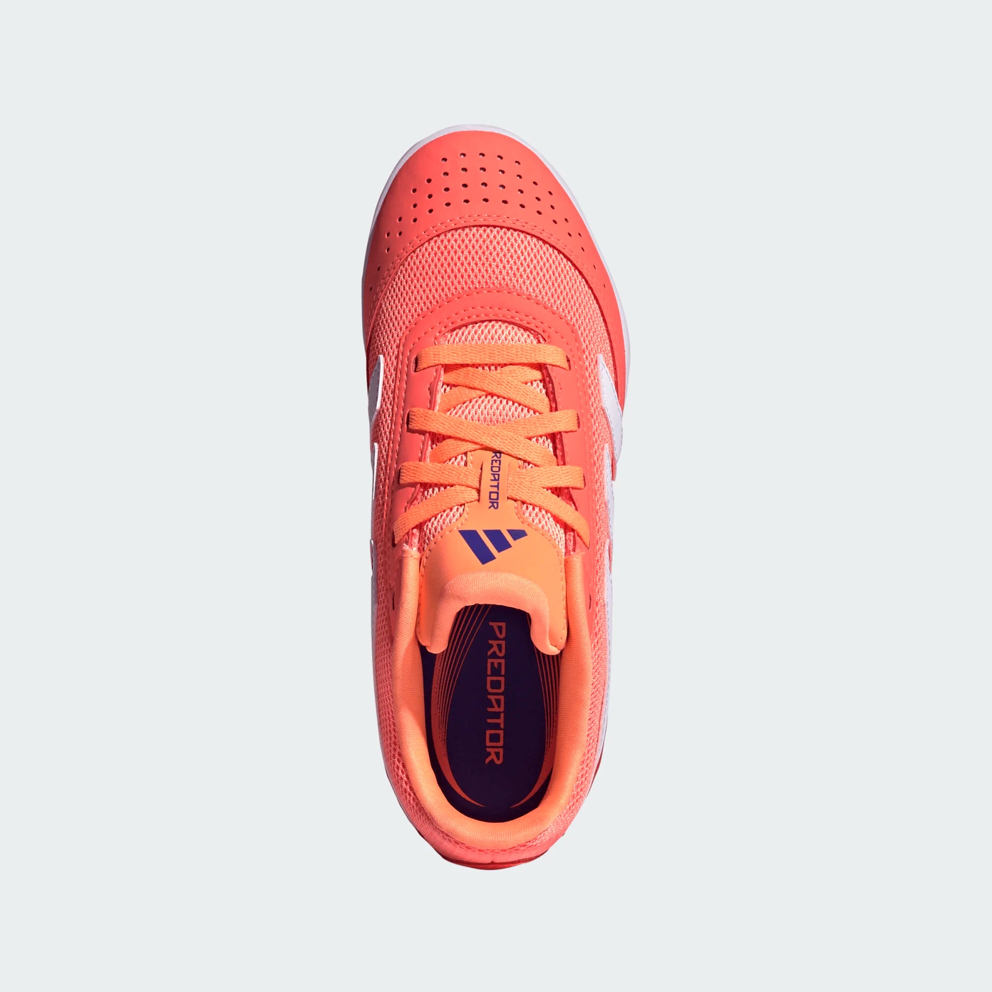Adidas Jr Predator Club IN Sala- SIGCOR/FTWWHT/BEAORA