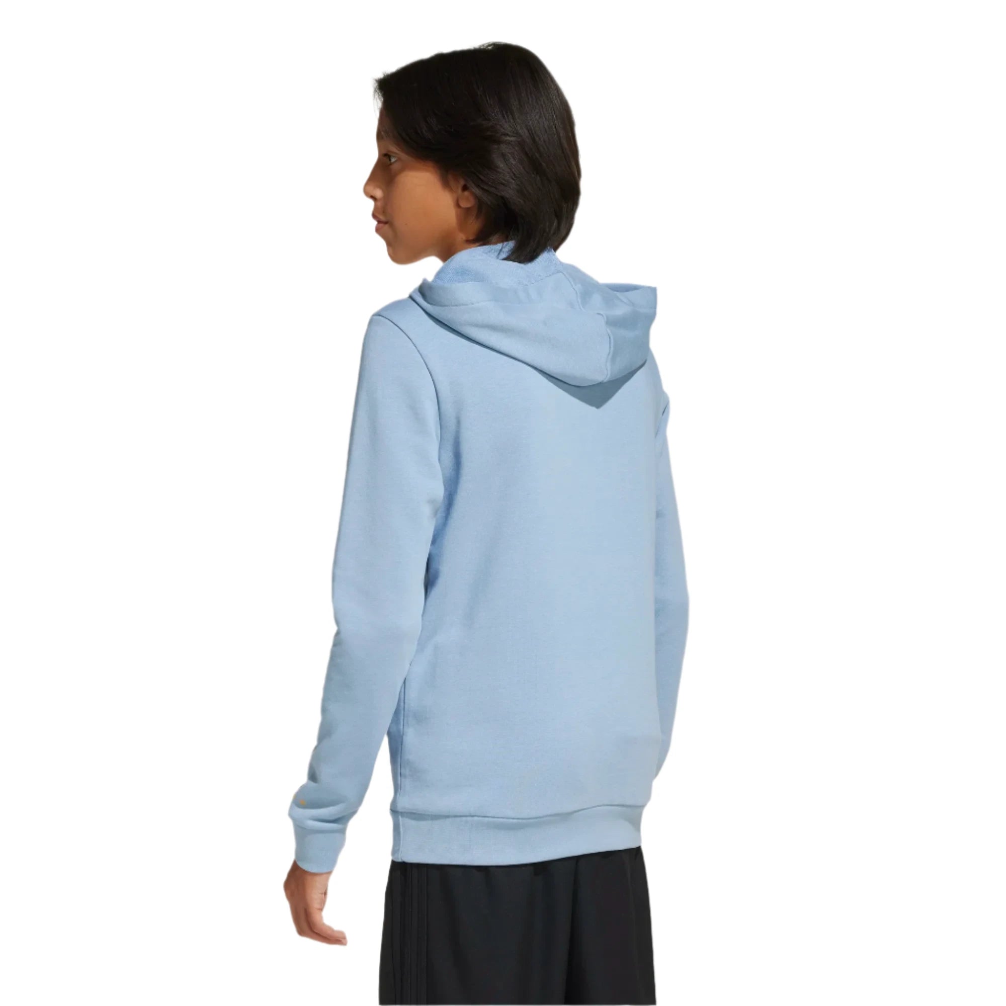 Adidas Youth Argentina Anniversary DNA Hoodie