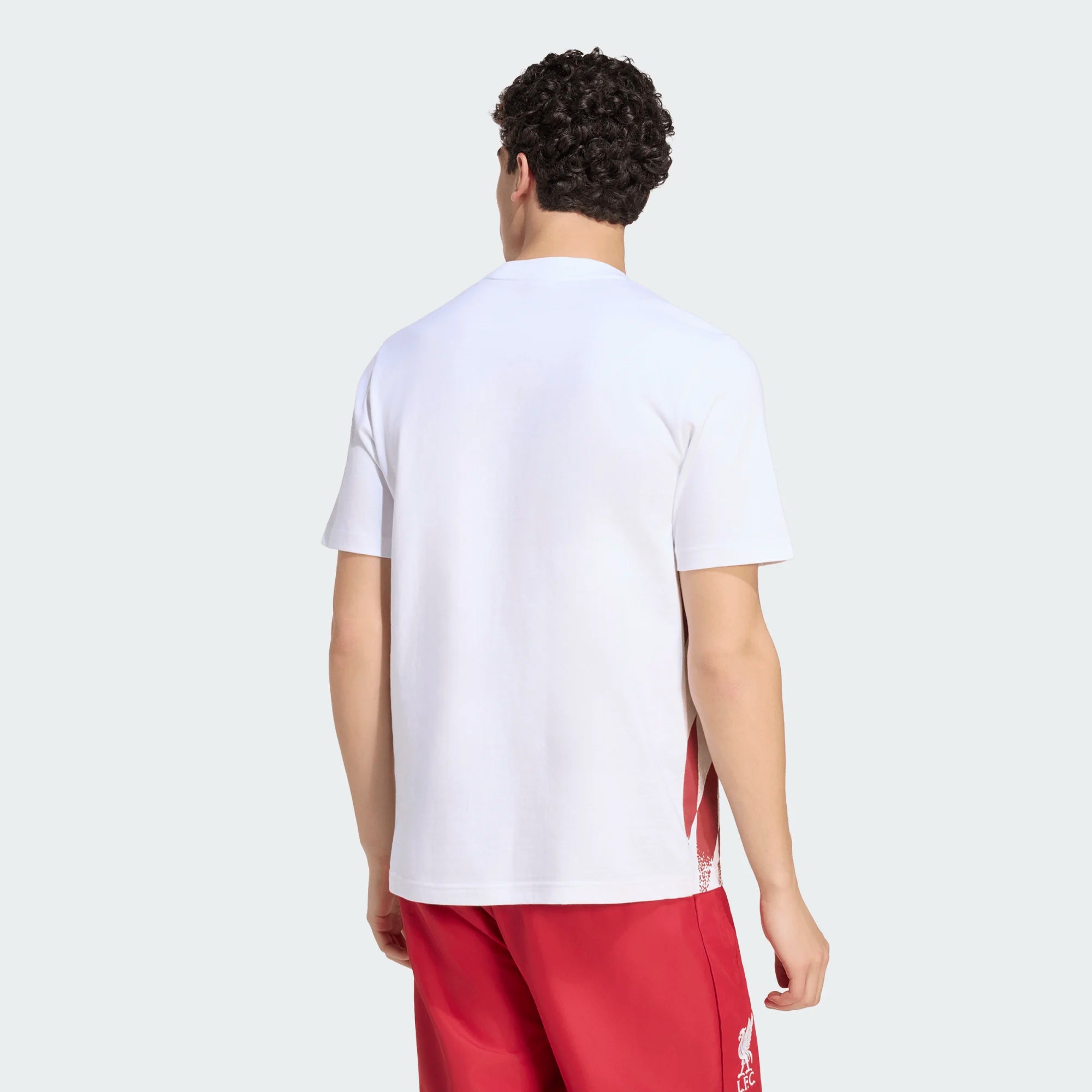 Adidas Liverpool FC Stadium Graphic T-Shirt