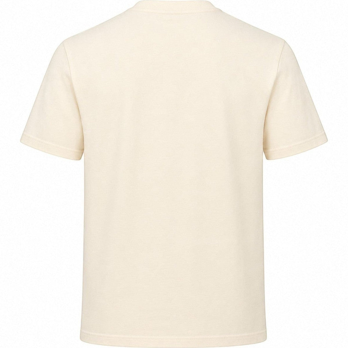 Coliseum Sports New Era ivory cotton t-shirt, back view of a plain vintage-inspired San Francisco 49ers graphic tee.