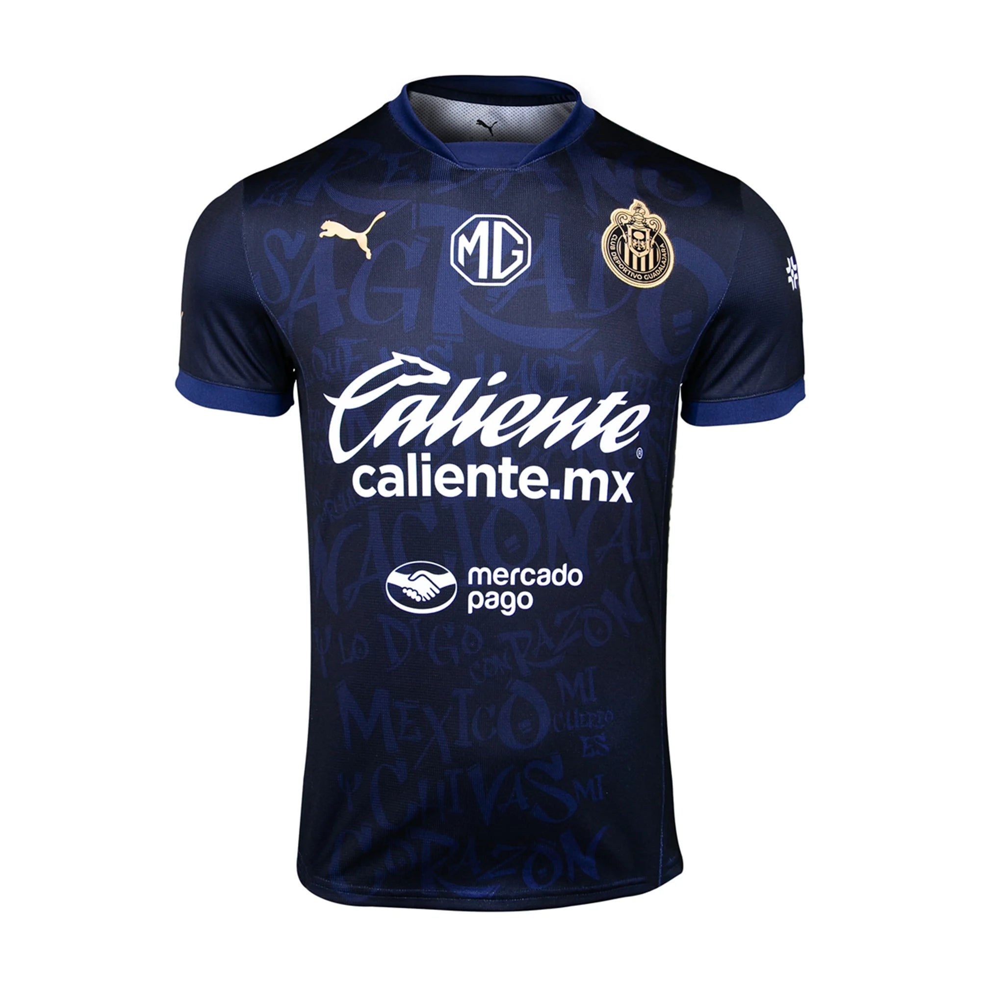 Puma Men's Chivas Alternative 3rd Jersey 24/25