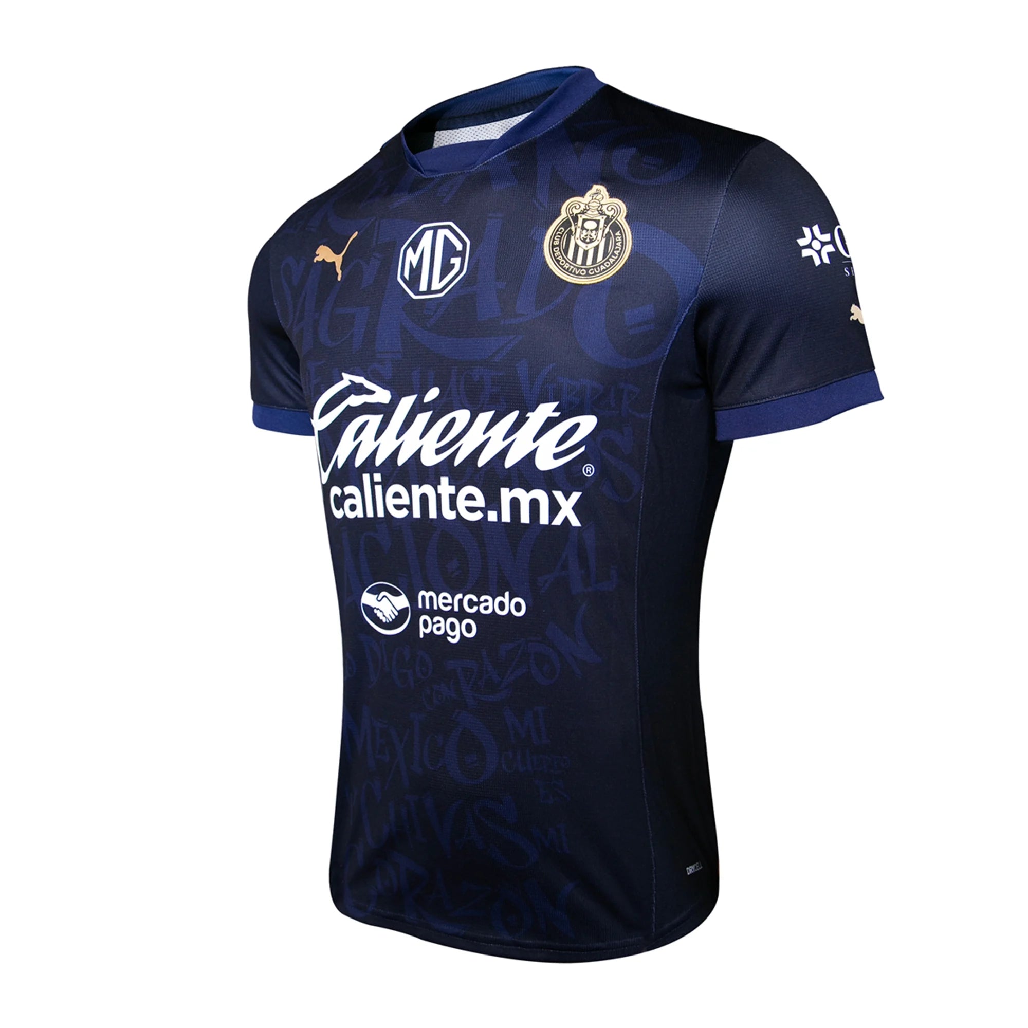 Puma Men's Chivas Alternative 3rd Jersey 24/25