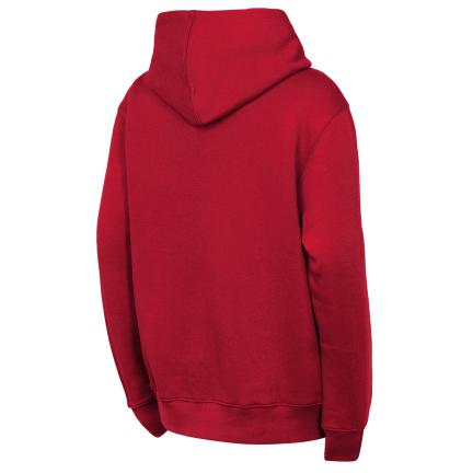 San Francisco 49ers Little Kid's Back To Basics Fleece Hoodie