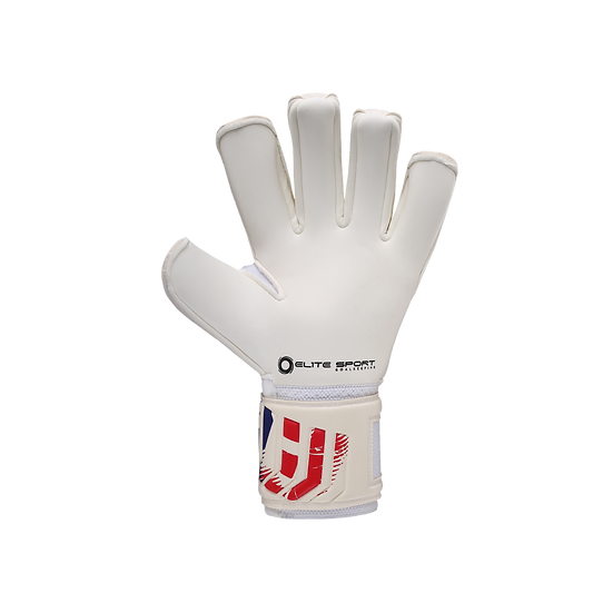 Elite Lion 5 FS Goalkeeper Gloves